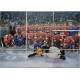 2023 LC Bronze Medal Memories 1993 #TP-08 Team Photo Puzzle