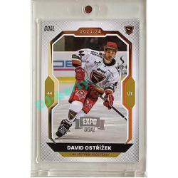 2023/24 Goal cards Chance Liga 2. série #254 David Ostřížek Expo Silver 1of7