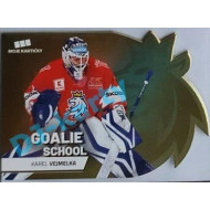 2020 MK reprezentace Karel Vejmelka #7 Goalie School Die-cut Gold Retail