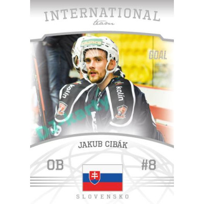 2022/23 Goal Cards Chance Liga 2. série #07 Jakub Cibák International Team