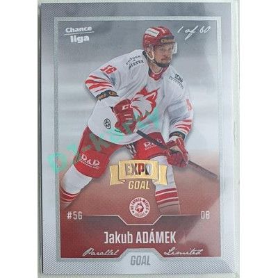 2022/23 Goal Cards Chance Liga 1. série #134 Jakub Adámek Expo Pard. Silver 1 of 3
