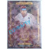 2021 OFS Kingdom of Lions Jaroslav Bednář #LI-2 5/6 Last Icons Cracked Ice