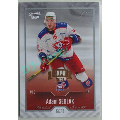 2022/23 Goal Cards Chance Liga 1. série #159 Adam Sedlák Expo Pard. Silver 1 of 3