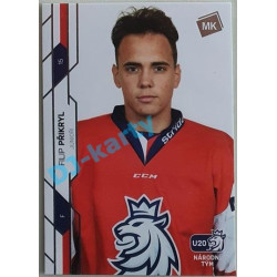 2021 MK reprezentace Filip Přikryl Junioři #53