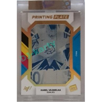 2023 MK The Gamers #PP-KV Karel Vejmelka 2022 Goalies Printing Plate 1/1 Cyan