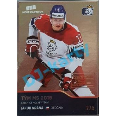 2020 MK reprezentace Jakub Vrána #58 2/5 Gold Czech Expo