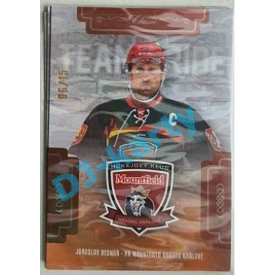 2019/20 OFS Jaroslav Bednář #TP-JBE 06/15 Team Pride Ice Water