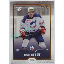 2022/23 Goal Cards Chance Liga 1. série #076 David Tureček Gold 04/23