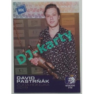 2020 MK STICK with czech hockey - David Pastrňák - Gold