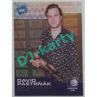 2020 MK STICK with czech hockey - David Pastrňák - Gold