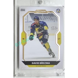 2023/24 Goal cards Chance Liga 1. série #111 David Březina Gold 1of20
