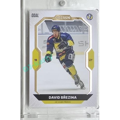 2023/24 Goal cards Chance Liga 1. série #111 David Březina Gold 1of20