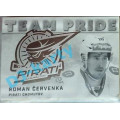 Team Pride /99