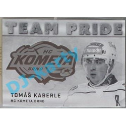 2015/16 OFS Tomáš Kaberle #TP-15 xx/99 Team Pride