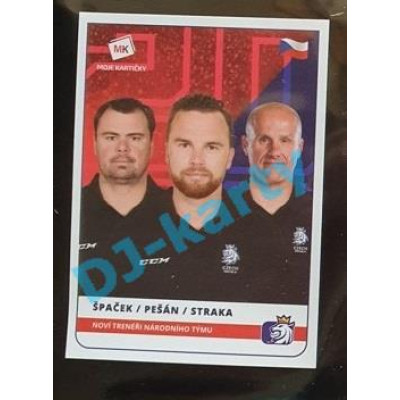 2020 MK Stick Jaroslav Špaček/Filip Pešán/Martin Straka Noví trenéři národního týmu #13