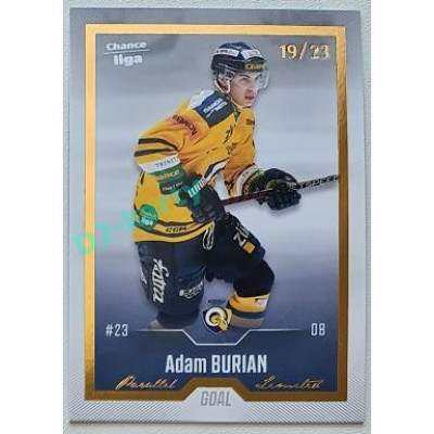 2022/23 Goal Cards Chance Liga Update #493 Adam Burian Gold xx/23