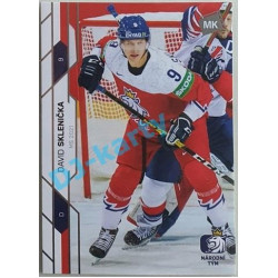 2021 MK reprezentace David Sklenička MS 2021 #63