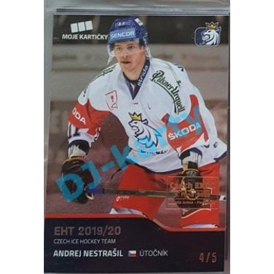 2020 MK reprezentace Andrej Nestrašil #24 4/5 Silver Czech Expo
