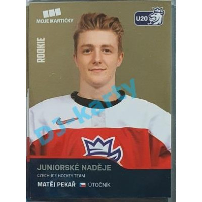 2020 MK reprezentace Matěj Pekař RC juniorské naděje #77 Gold Promo