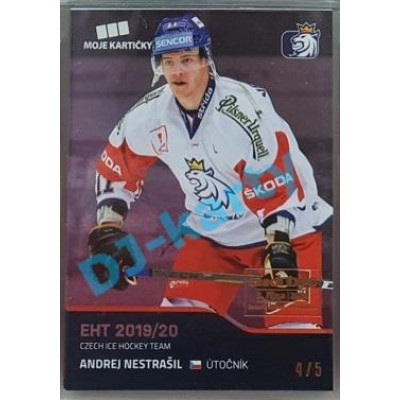 2020 MK reprezentace Andrej Nestrašil #24 4/5 Blue Czech Expo
