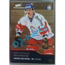2020 MK reprezentace Andrej Nestrašil #24 2/5 Gold Czech Expo