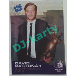 2020 MK STICK with czech hockey - David Pastrňák - Silver