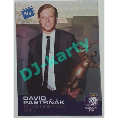 2020 MK STICK with czech hockey - David Pastrňák - Silver