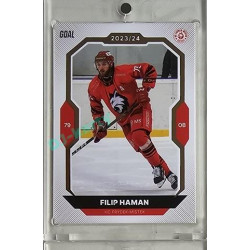 2023/24 Goal cards Chance Liga 1. série #115 Filip Haman Gold 1of20