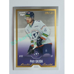 2022/23 Goal Cards Chance Liga 2. série #272 Petr Gajda Gold 09/23