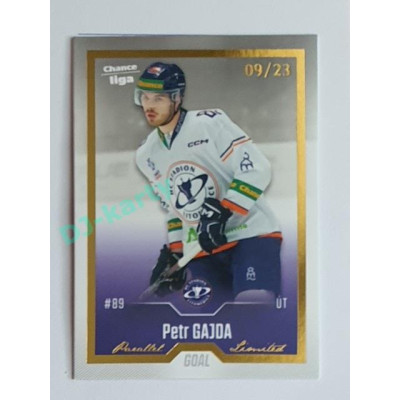 2022/23 Goal Cards Chance Liga 2. série #272 Petr Gajda Gold 09/23