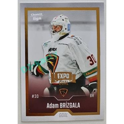 2022/23 Goal Cards Chance Liga 2. série #245 Adam Brízgala Expo Gold 1 of 3