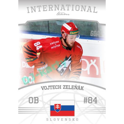 2022/23 Goal Cards Chance Liga 2. série #09 Vojtech Zeleňák International Team