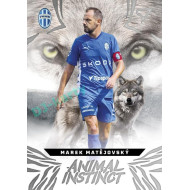 2024/25 Sportzoo Chance Liga 1. série #AI-10 Marek Matějovský Animal Instinct