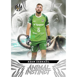 2024/25 Sportzoo Chance Liga 1. série #AI-13 Adam Zadražil Animal Instinct