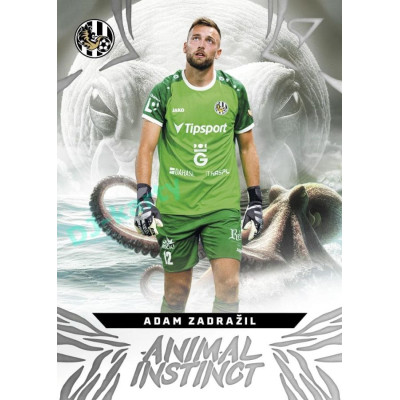 2024/25 Sportzoo Chance Liga 1. série #AI-13 Adam Zadražil Animal Instinct