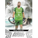 2024/25 Sportzoo Chance Liga 1. série #AI-13 Adam Zadražil Animal Instinct