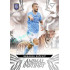 2024/25 Sportzoo Chance Liga 1. série #AI-17 Nemanja Mićević Animal Instinct