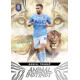 2024/25 Sportzoo Chance Liga 1. série #AI-18 Daniel Trubač Animal Instinct