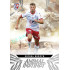2024/25 Sportzoo Chance Liga 1. série #AI-26 Michal Surzyn Animal Instinct