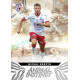 2024/25 Sportzoo Chance Liga 1. série #AI-26 Michal Surzyn Animal Instinct