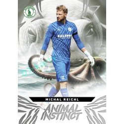 2024/25 Sportzoo Chance Liga 1. série #AI-28 Michal Reichl Animal Instinct