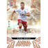 2024/25 Sportzoo Chance Liga 1. série #AI-26 Michal Surzyn Animal Instinct Copper xx/70