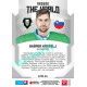 2021/22 Sportzoo TIPSPORT ELH 2. série #ATW-34 Gašper Krošelj Around The World