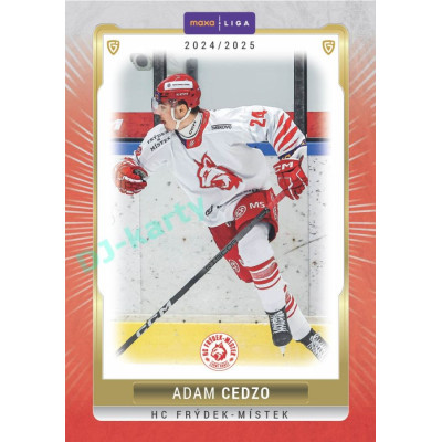 2024/25 Goal Cards Maxa liga 1. série #FMI-18 Adam Cedzo Parallel 1of40
