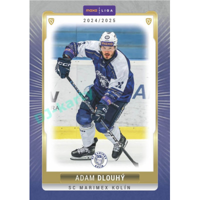 2024/25 Goal Cards Maxa liga 1. série #KOL-13 Adam Dlouhý Parallel 1of15