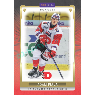 2024/25 Goal Cards Maxa liga 1. série #PCE-15 Adam Fiala Parallel 1of40