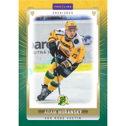 2024/25 Goal Cards Maxa liga 1. série #VSE-21 Adam Hořanský Parallel 1of40