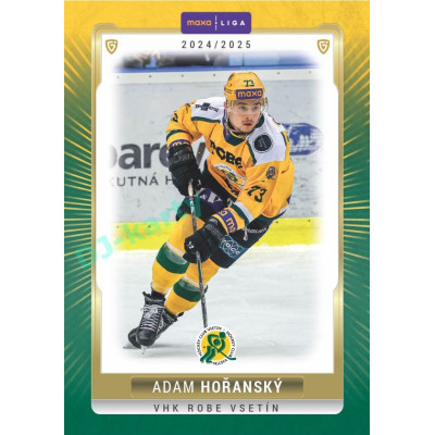 2024/25 Goal Cards Maxa liga 1. série #VSE-21 Adam Hořanský Parallel 1of40