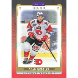 2024/25 Goal Cards Maxa liga 1. série #PCE-09 Adam Nedelka Parallel 1of15