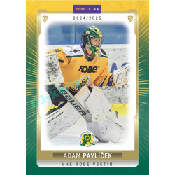 2024/25 Goal Cards Maxa liga 1. série #VSE-02 Adam Pavlíček Parallel 1of40